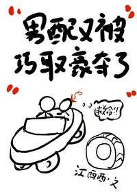 男配又被巧取豪奪了2[快穿]